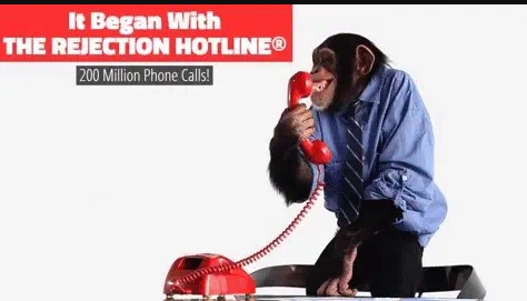 Monkey wearing a blue shirt and holding a telephone - Rejection hotline prank calls